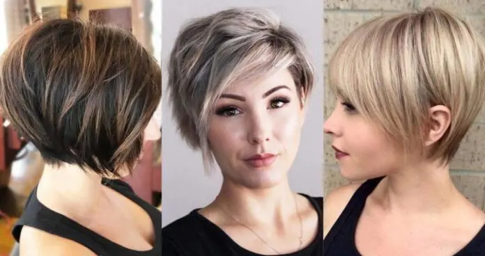 DIFFERENT CHIC STYLES FOR PIXIE BOB HAIRCUT