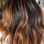 dark-brown-hair-with-highlights-highlights-darkb
