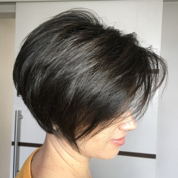 Black Pixie Bob With Angled Layers