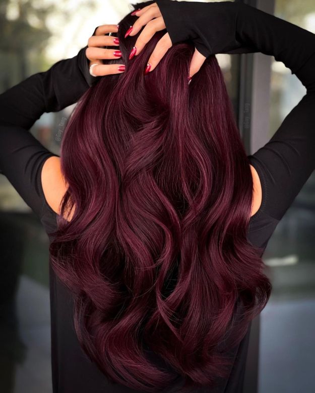 Deep Red Wine Shade