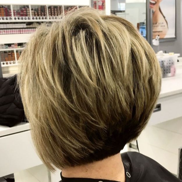 feathered two-tone pixie bob