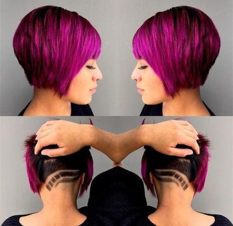 fuschia pixie-bob 