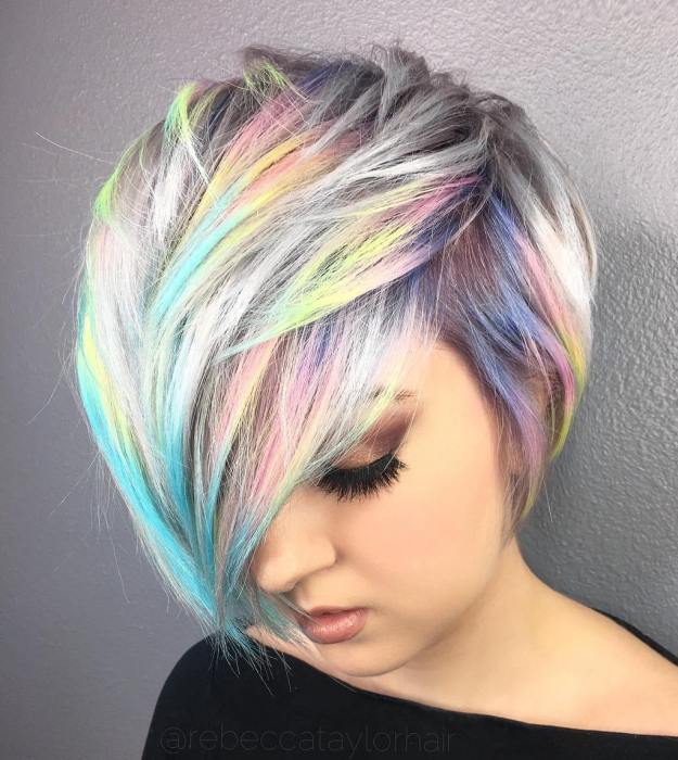 Gray Pixie Bob With Pastel Highlights