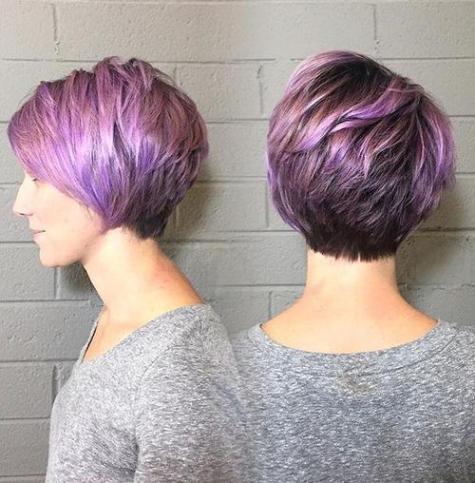 layered pixie-bob