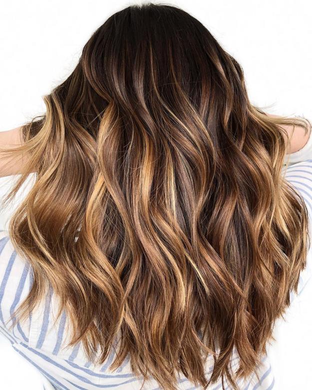 Long Dark Hair with Honey Blonde Highlights