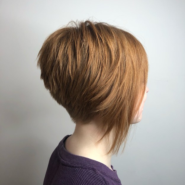 Pixie Bob With Feathered Layers