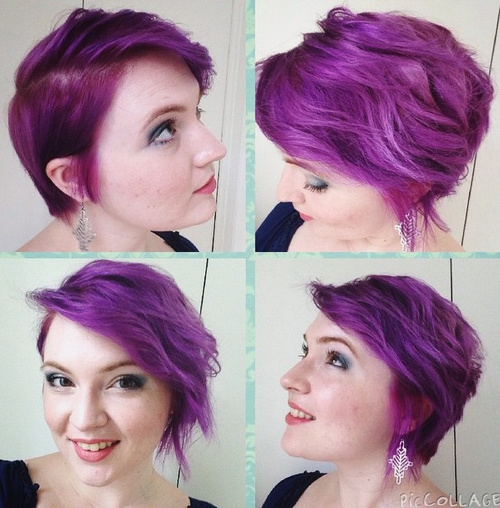 Purple Pixie Bob