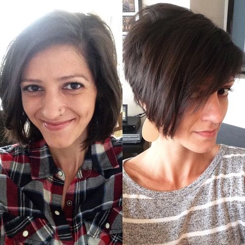 short stacked pixie bob