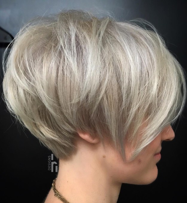 Teased Ash Blonde Pixie Bob