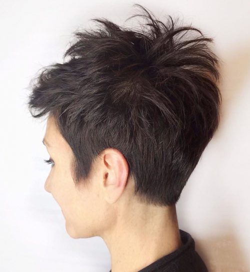 46 Best Ideas of Pixie Cuts and Hairstyles for 2024