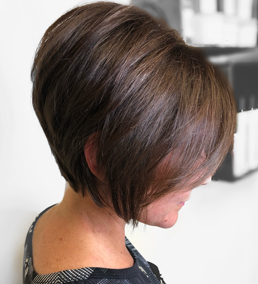 Voluminous Chocolate Brown Pixie Bob