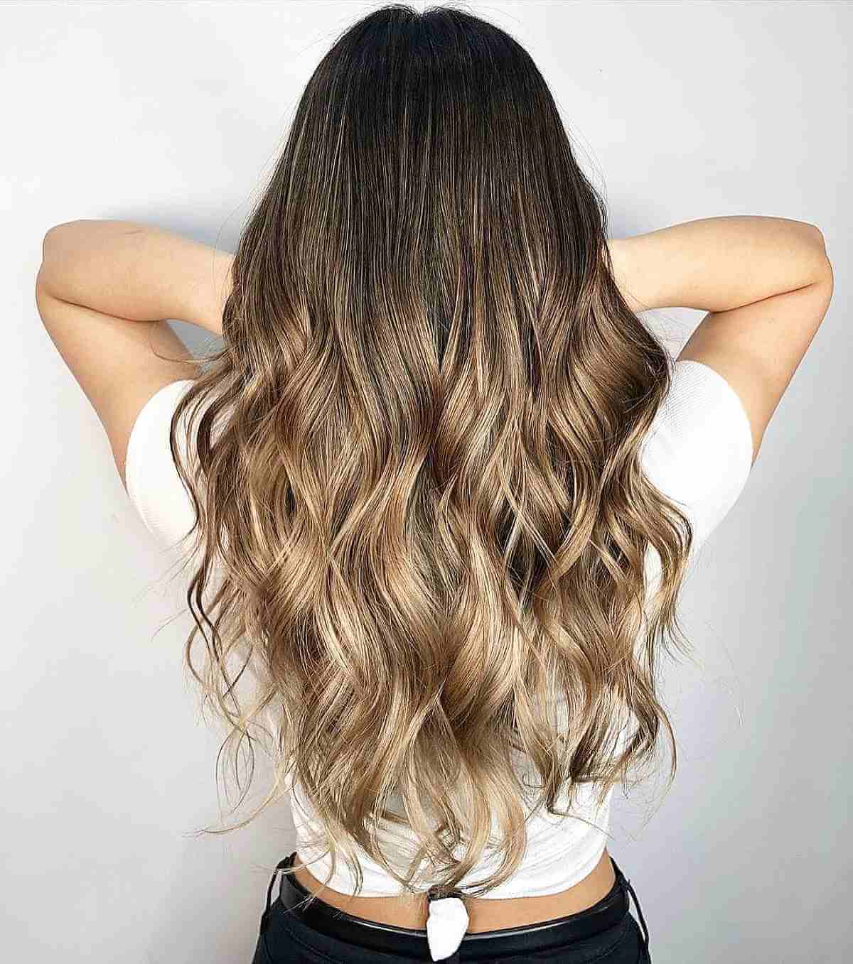 Dark to Light Brown Ombre