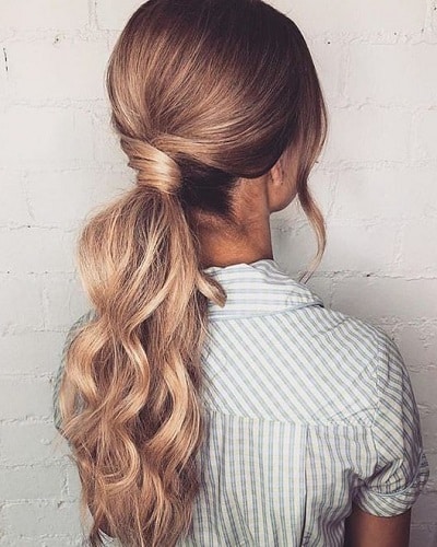 Elegant Low Ponytail