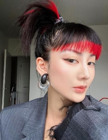 High Ponytail Updo For Dark Hair With Red Placements