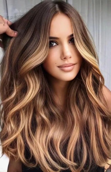 Brunette Hair Ombre