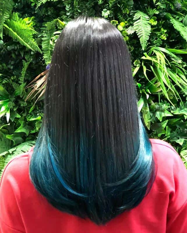 Blue Lowlights Under Black Hair 3