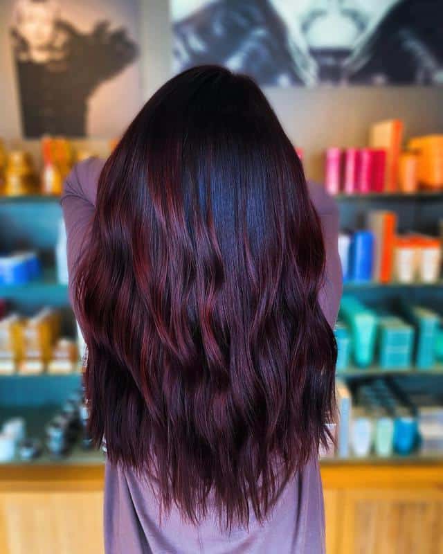 Deep Burgundy Highlights 1