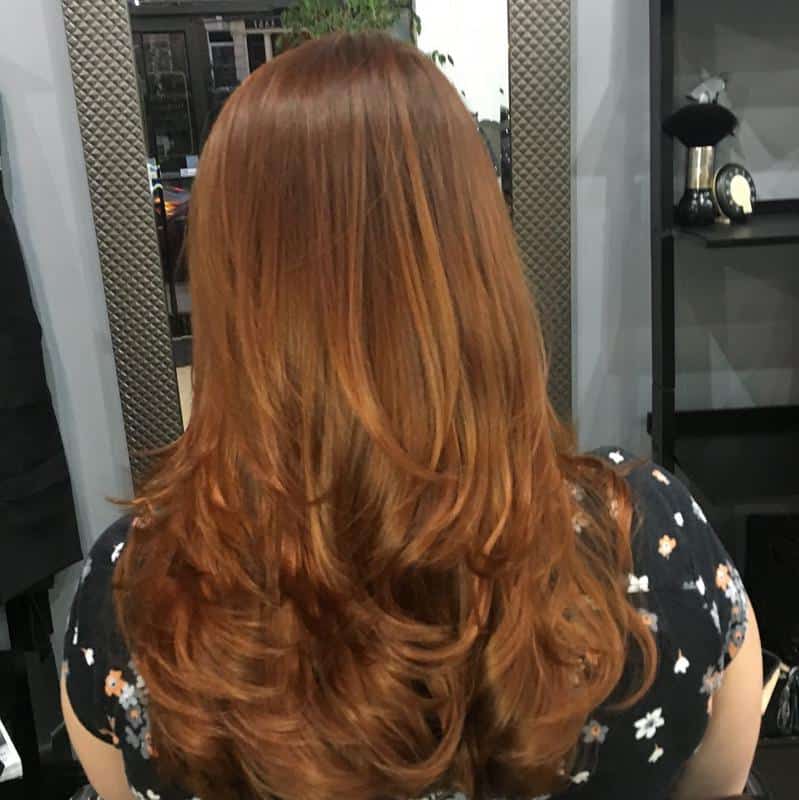 Rich amber-red highlights 1