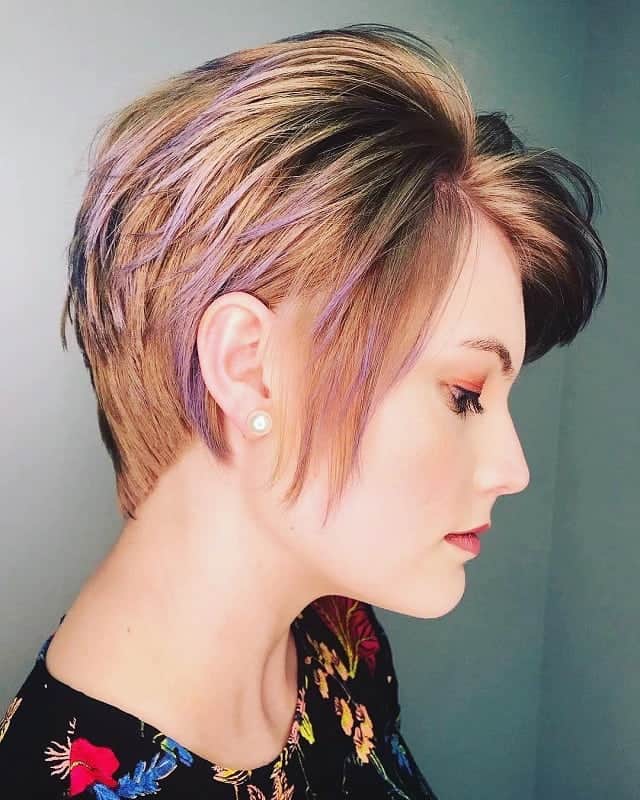 Stacked Pixie Bob