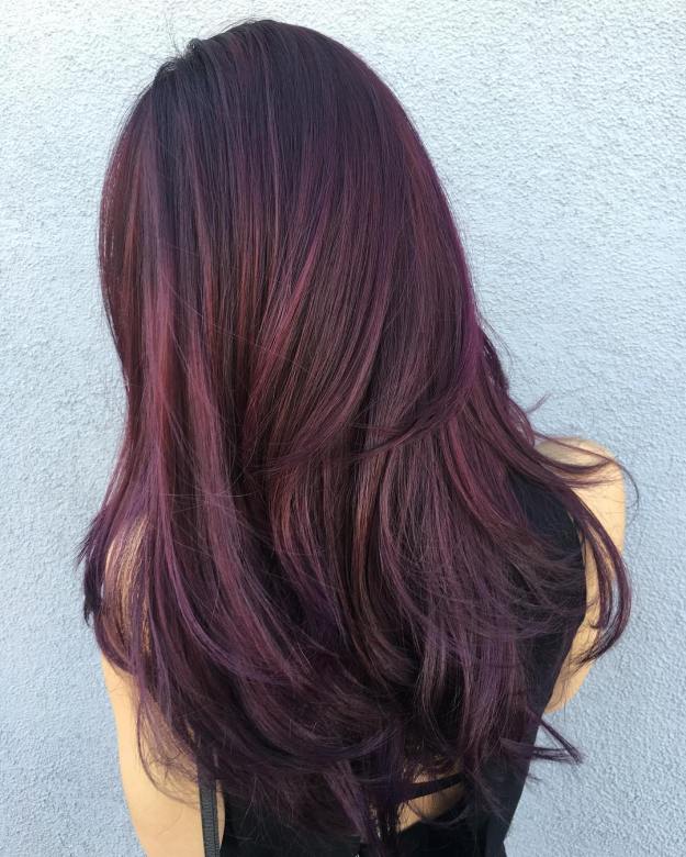 Black Hair With Purple And Brown Balayage