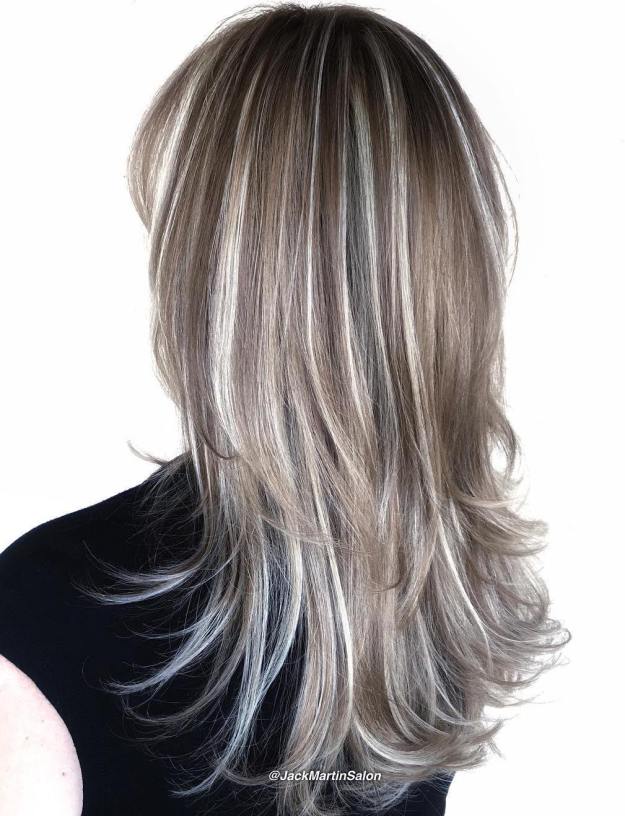 Brown Hair With Silver Highlights