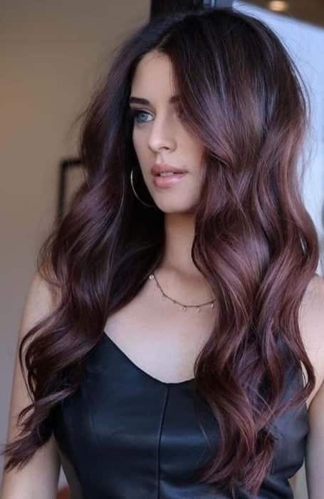 Dark Brown Burgundy Hair Color