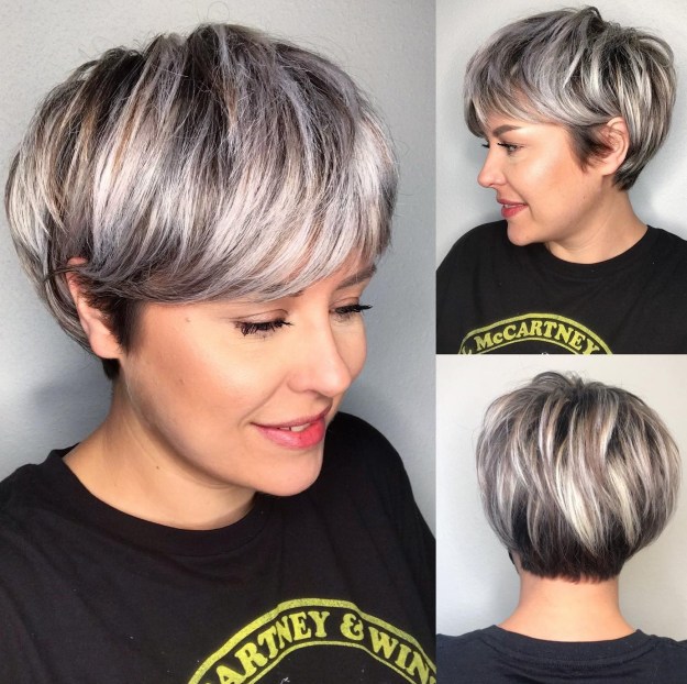 Full Pixie Bob con reflejos grises sobre base oscura