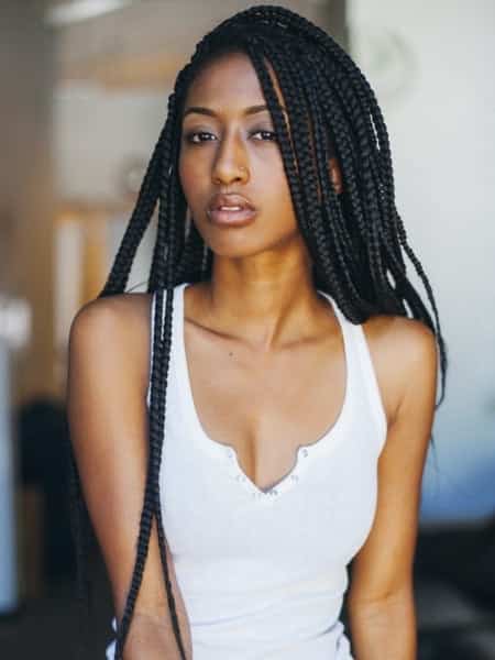 Long Box Braids 2