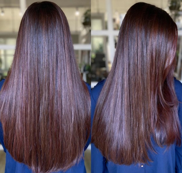Long Straight Hair with Blend of Burgundy and Reddish Brown Shades