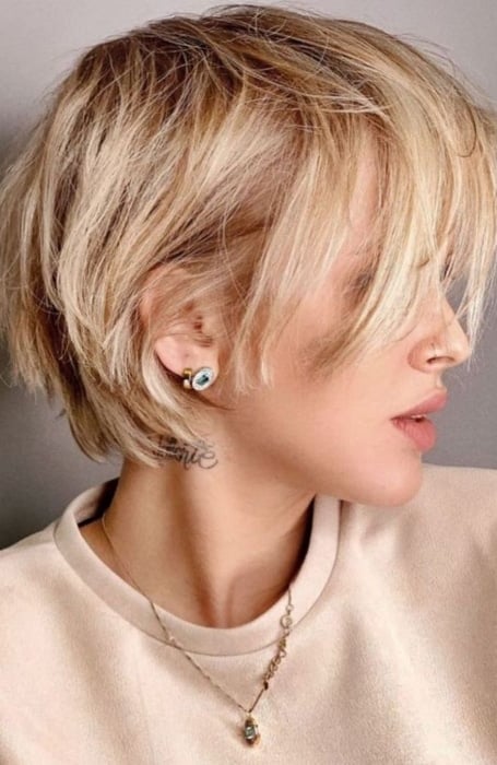 Corte de pelo Pixie Bob para cabello fino