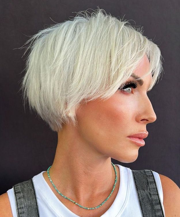 Platinum Pixie Bob