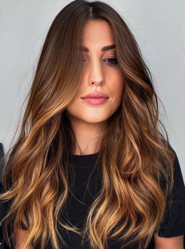 Stunning Transition from Brown to Blonde