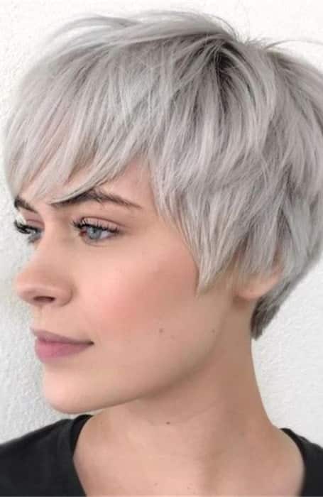 Corte de pelo Pixie Bob de pelo grueso