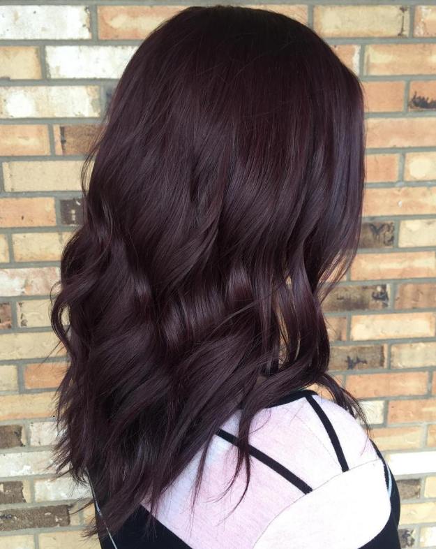 Very Dark Burgundy Brown Hair