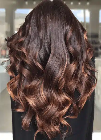 61+ Best Chocolate Brown Hair Color Ideas for Summer 2025