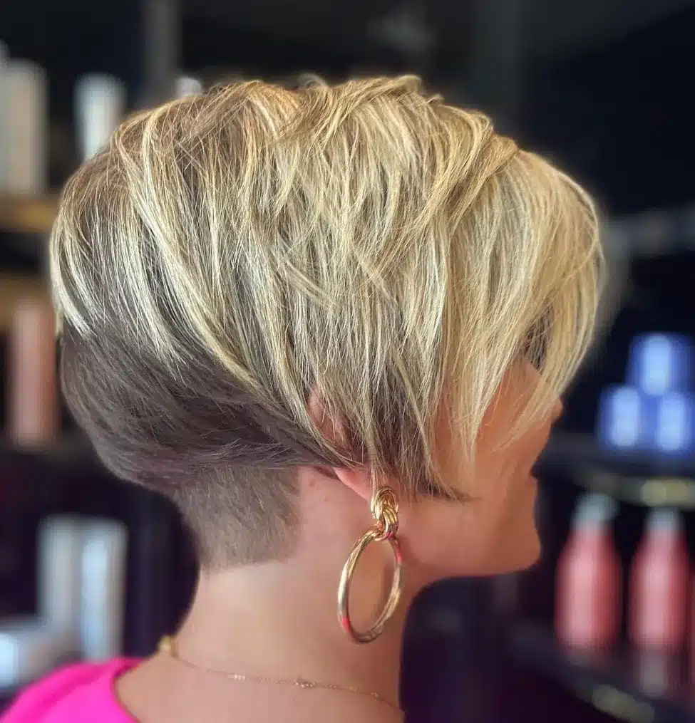 two-toned-pixie-bob