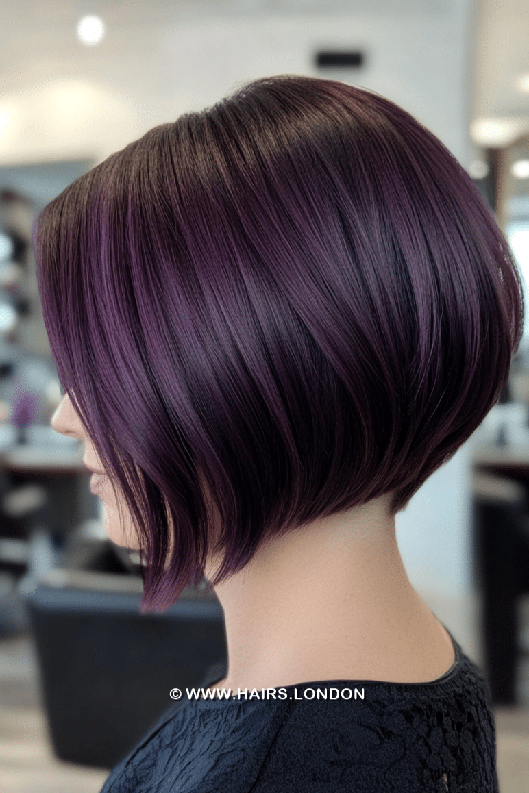 Deep Plum Purple Hair