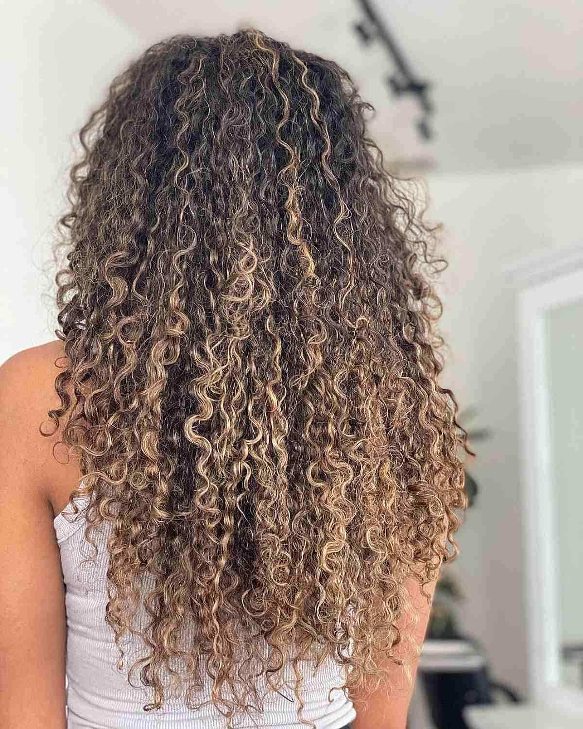 Long Naturally Curly Hair with Balayage Blonde Accents