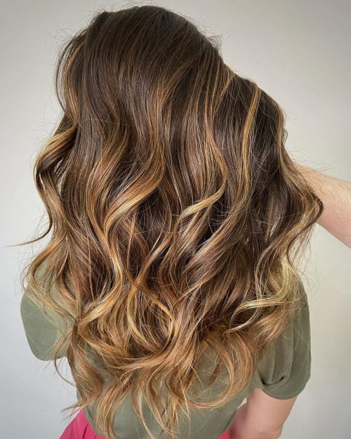 Darker Chestnut with Beautiful Blonde Highlights