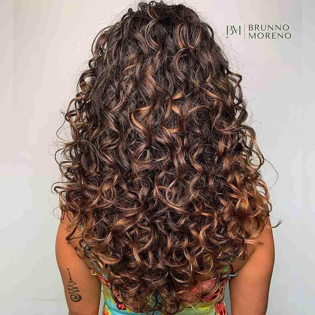 Natural Loose Curls with Light Brown Accents