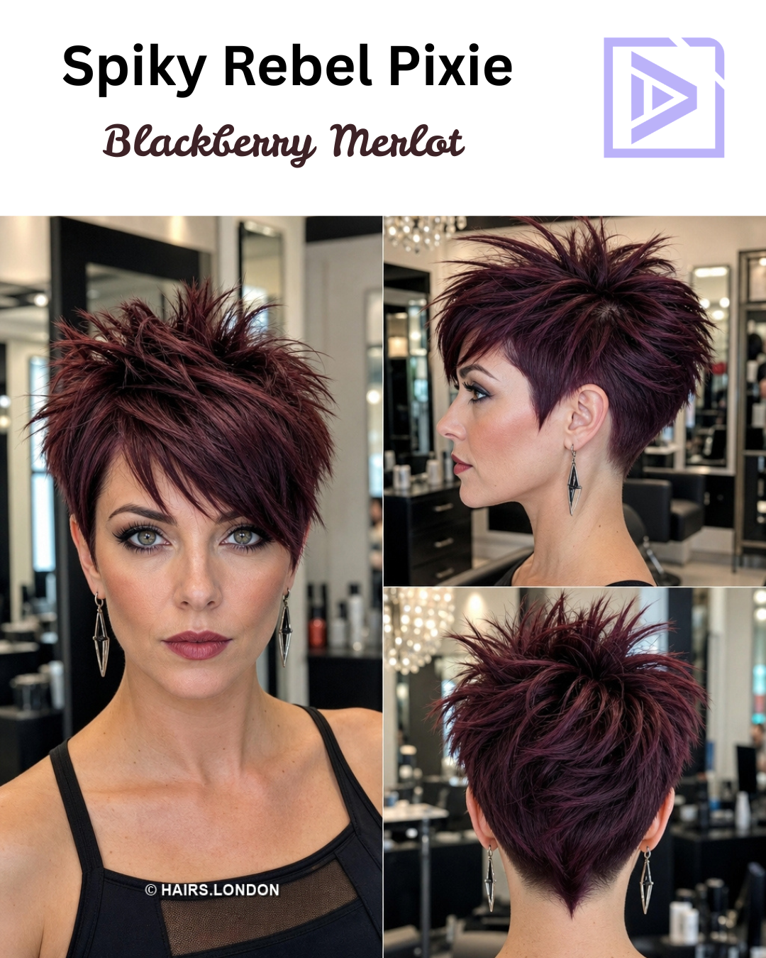 Blackberry Merlot Hair